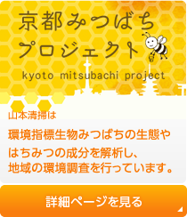 京都みつばちプロジェクト。山本清掃は環境指標生物みつばちの生態やはちみつの成分を解析し、地域の環境調査を行っています。